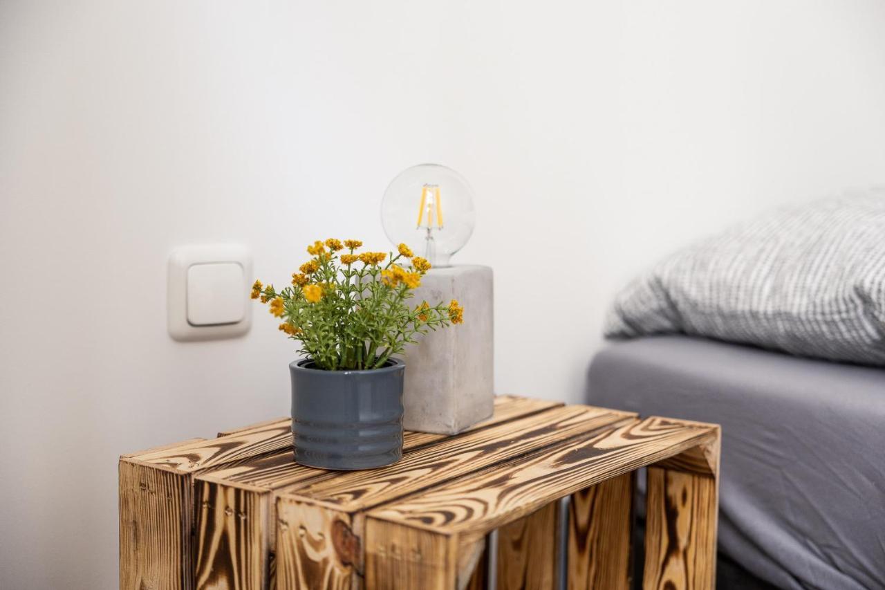 Apartments Am Neuen Theater - Altstadt - Zentral - Kueche - Wifi - Powered By Ko-Living ハレ エクステリア 写真